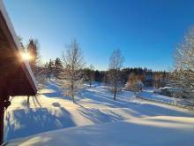 Ubytování v borovicovém údolí -