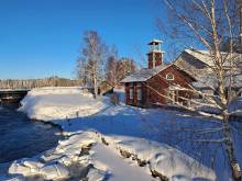 Ubytování v borovicovém údolí -