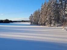 Ubytování v borovicovém údolí -