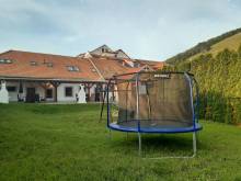 Saeli Apartments - Mikulov