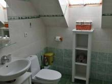 Slunečnice - ubytování u Třeboně - Domanín