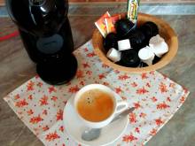 Slunečnice - ubytování u Třeboně - Domanín