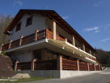 Vila na pláži - Bystřička