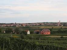 Vinný sklep Šmídovi - Velké Bílovice