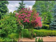 Chalupa k pronajmutí - Janovičky