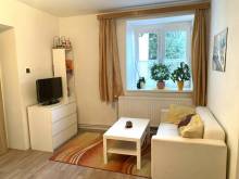 Apartmán k pronájmu - Velečín