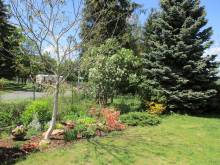 Apartmán k pronájmu - Velečín