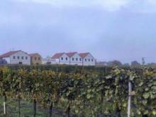 Penzion Slunný vrch - Dolní Dunajovice