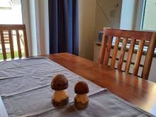 Apartmán u rybníka - Moravský Žižkov