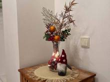 Apartmány U Pešků - Mojné