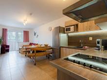 Apartmány nad rybníky - Horní Planá