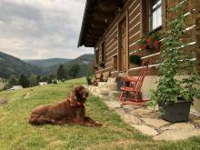 Apartmán U Setra - Pec pod Sněžkou