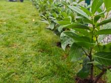 Chalupa Maroš - Pavčina Lehota