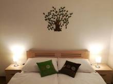 Apartmán Falco - Hojsova Stráž
