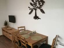 Apartmán Falco - Hojsova Stráž