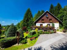 Privat U lesa - Horní Rokytnice