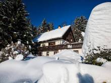 Privat U lesa - Horní Rokytnice