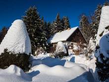 Privat U lesa - Horní Rokytnice