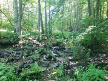 Chalupa Na Potoku - Souvrať