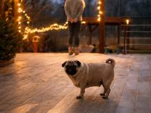 Apartmán & House BIG WIN - Mělník