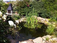 Apartmány Clematis - Nové Chalupy