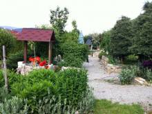 Apartmány Clematis - Nové Chalupy