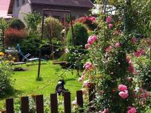 Apartmány Clematis - Nové Chalupy