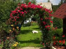 Apartmány Clematis - Nové Chalupy