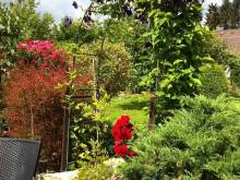 Apartmány Clematis - Nové Chalupy