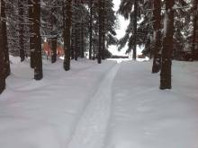 FÁFOVA BOUDA - Harrachov