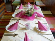 U nás doma - Orličky