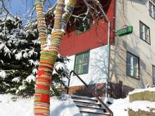 U nás doma - Orličky