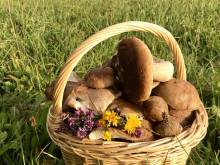 Chalupa Václav - Lipno nad Vltavou