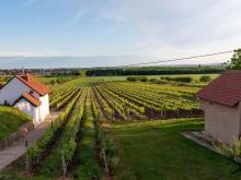 Apartmány vinařství Zdenek Polach - Velké Bílovice