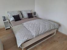Volný apartmán - Kociánov