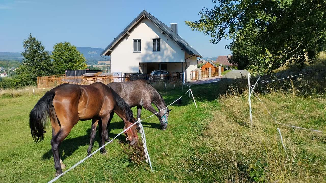 Apartmán pod Hlavaticí - Mašov