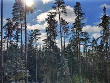 Apartmány bd - Lipno nad Vltavou