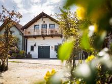 Vinařský apartmán Špalek - Nový Šaldorf