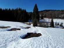 Mitterdorf - Apartmán Almberg - Mitterfirmiansreut
