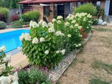 Fajtovo-ubytování v soukromí - Louka