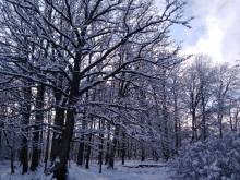 Ubytování u Janů - foto 3 Ubytování u Janů 3