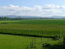 Apartmán Bellevue - Mokrý