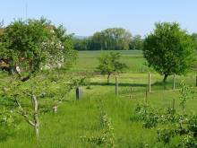 Apartmán Bellevue - Mokrý