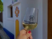 Pod vinohradem - vinné sklepy & apartm - Mutěnice