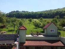 Penzion Pod Vinicí - Mikulov