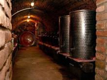 Penzion Pod Vinicí - Mikulov