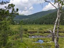 Apartmán v Korutanech - 