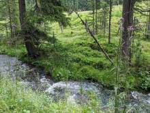 Apartmán v Korutanech - 