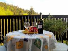 Panorama apartmán Švadlenka - Horní Rokytnice
