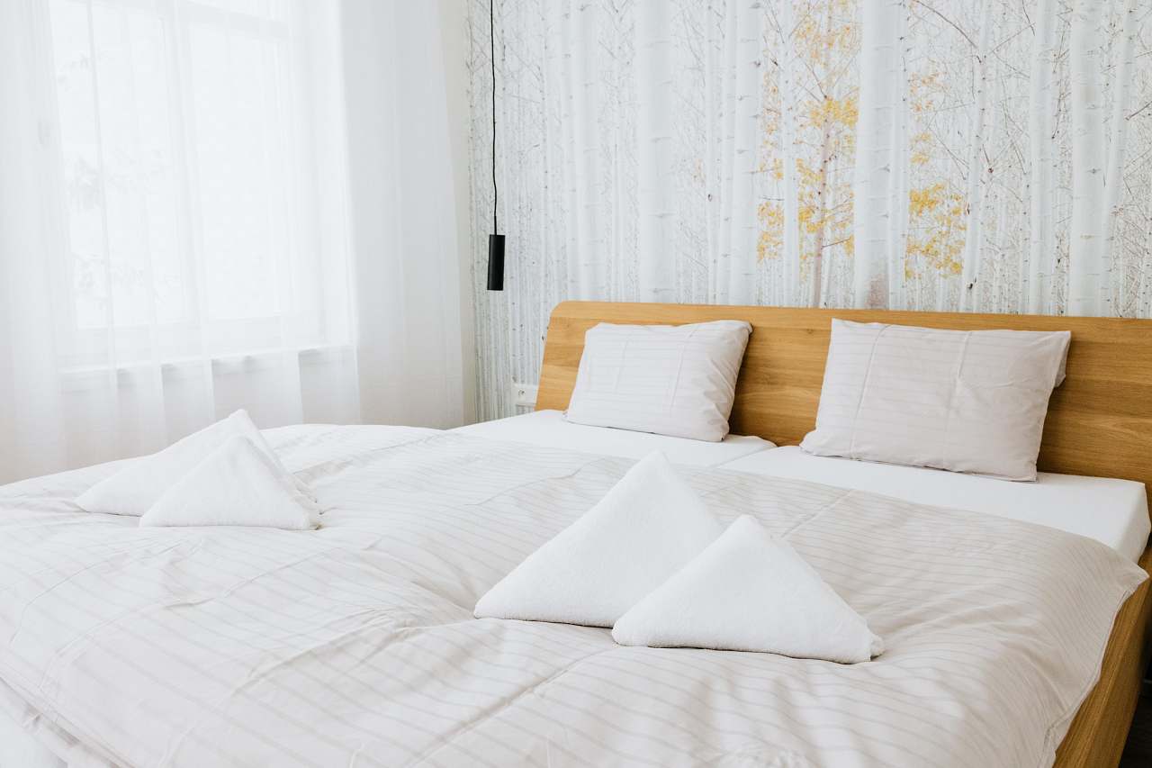 Apartmán U Zlaté břízy - Horní Blatná